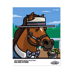 Silver Steed