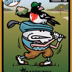 Common GolfGuys:  Perfect Drive - Birdie Edition