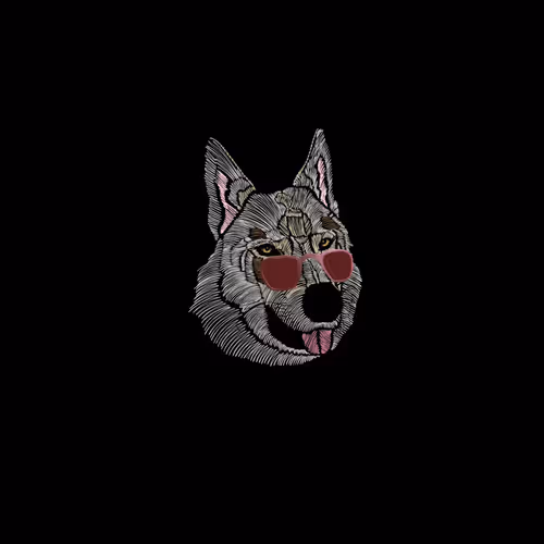 Dog dog