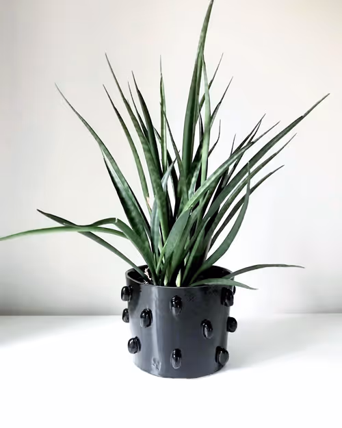 Item #110540257 Media