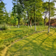 jasondavies.lens-Collect-888