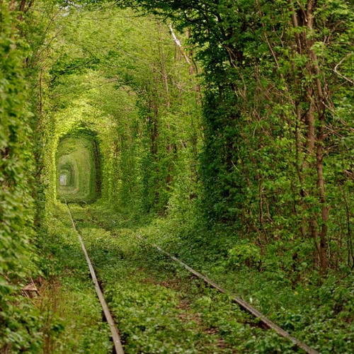 nature