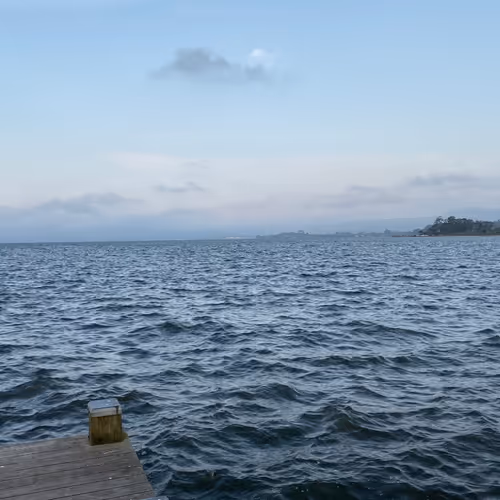 easyfun.lens-Collect-190