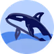 NFTGo.io Research