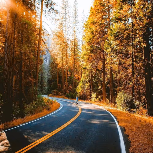 Post by @fortunetrees.lens
