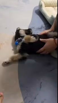 leevmore.lens-Collect-1137