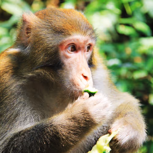 0xef6413fec643c4822d73ec3bcdcc35a64a839fc2