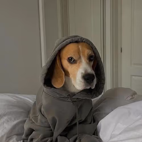 pcryptowoman.lens-Collect-524