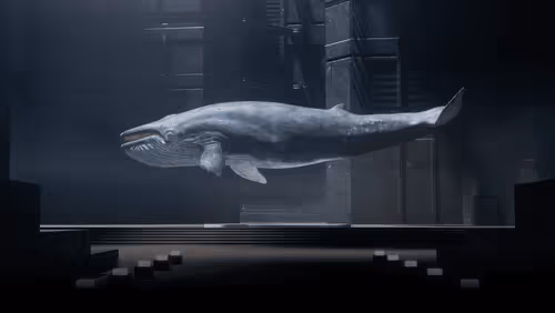 Item #5 Media