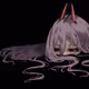 Giku