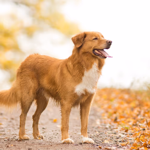 0xf427715f9fd19f2d4d5a443c628b44358a1a36ab