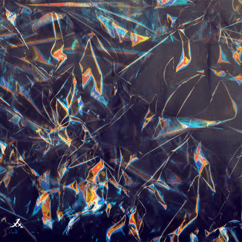 Jersey Club Collection