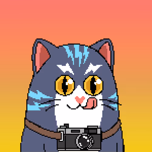 Liberty Cats 82