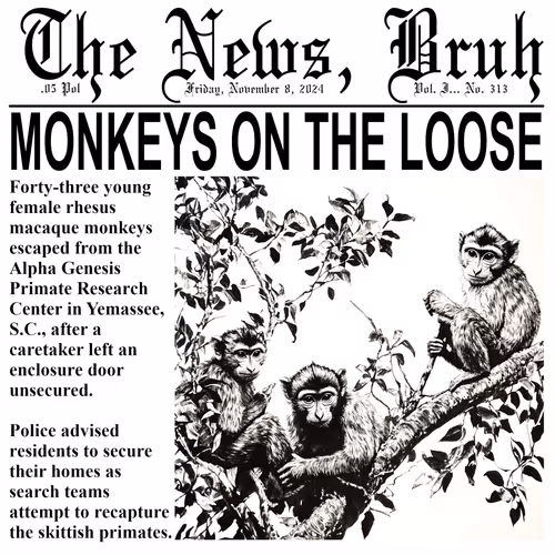 Thenewsbruh