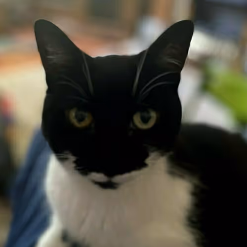 Collection by gordyyyyy