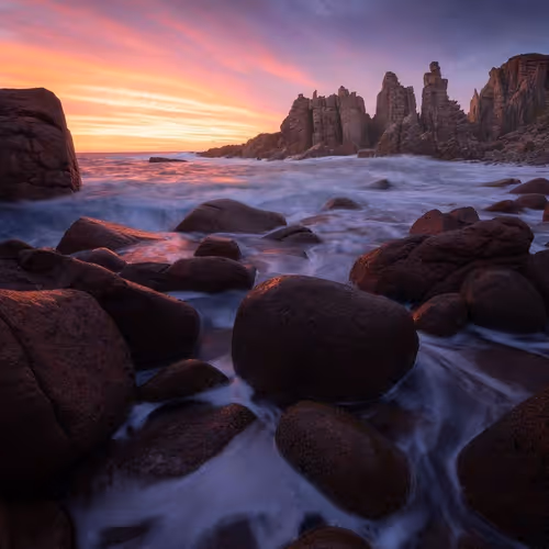 surena.lens-Collect-2418