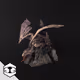 Berserker Dragon Series 8