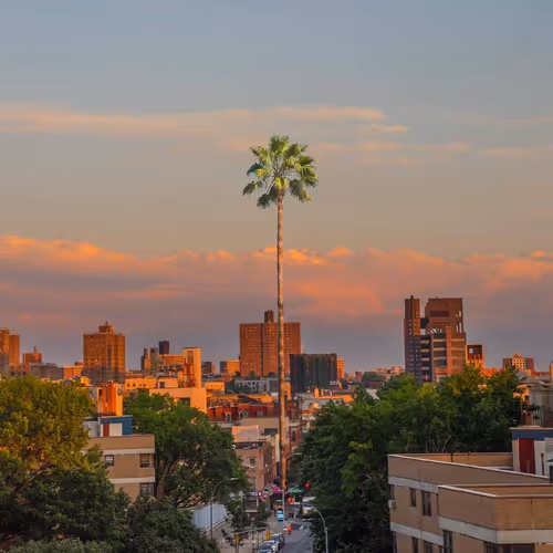 akxakxll.lens-Collect-158