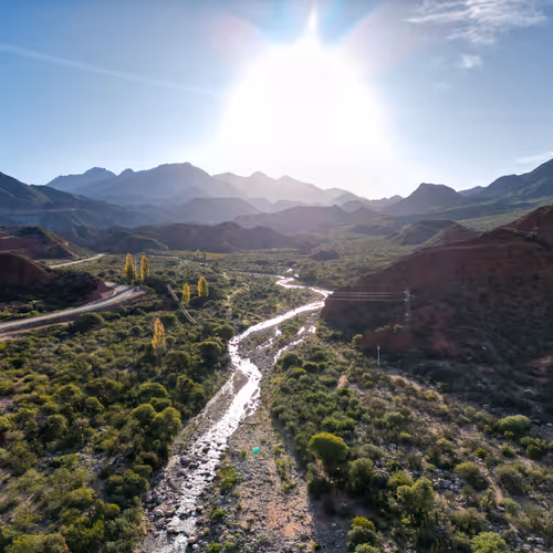 arielgarcia.lens-Collect-175