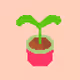 Polygon Trees Test