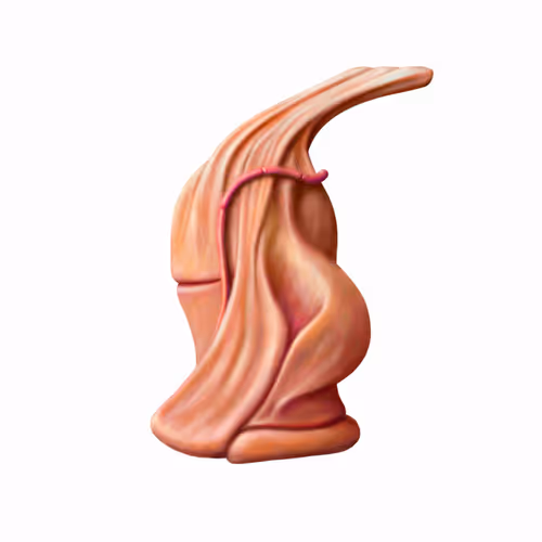 thefaketomato.lens-Collect-844