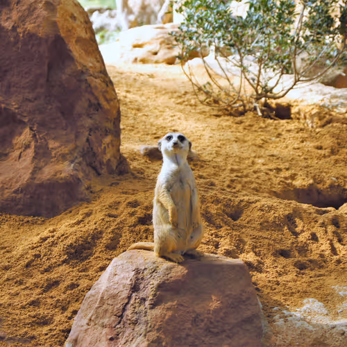 0xf86500e48eeed5c42085b934b91d09e30b924922