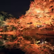 Kyoto