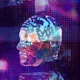 67726.lens-Collect-325