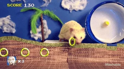 hongxinh321.lens-Collect-311