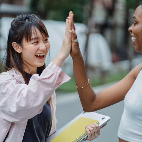 happytt.lens-Collect-62