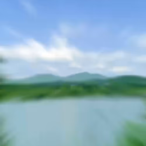 36963.lens-Collect-304