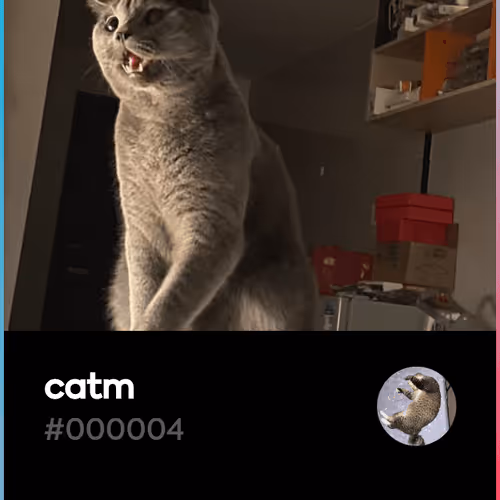 catm