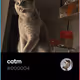catm