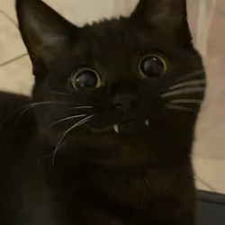 ewrwerrwer