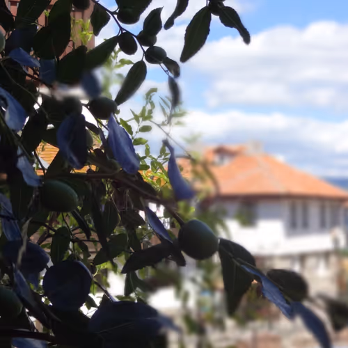 0xfb05c70aa63870acaf0eaaff3ce83040147218d6