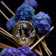 BTC_Chopsticks and Hydrangea