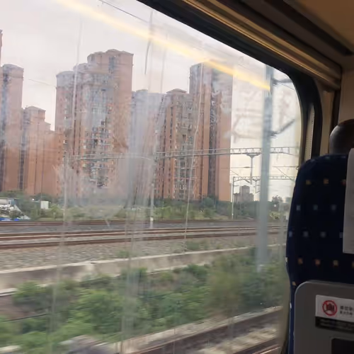 blackbelt.lens-Collect-52