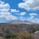 fiore.lens-Collect-50