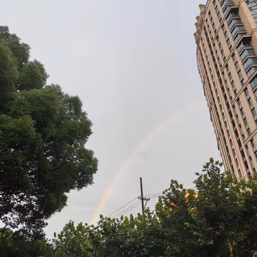 04659.lens-Collect-64