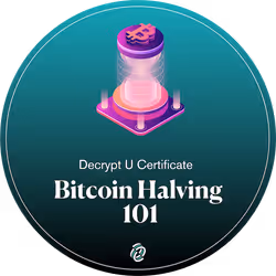 Bitcoin Halving 101: What it Means for Miners and Investors
