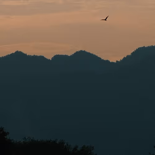 000202.lens-Collect-182