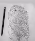 Multicolored hand made of animals