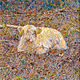 Animals in Mosaic