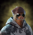 Ballistic Boars Club - Polygon Test Collection