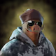 Ballistic Boars Club - Polygon Test Collection