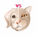 DOG VS CAT