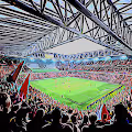 Football Stadium Collection