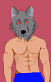 wolfhead guy