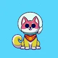 Shiba Inu Army Club