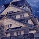 The Castle Series II
